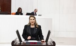 Elvan Işık Gezmiş: Kadın ölümleri neden araştırılmıyor?