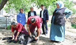 Evlere giderek tek tek kurbanları kestiler
