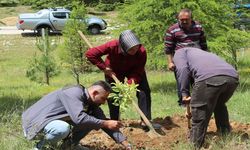 İbradı’da şehitler için fidan dikildi