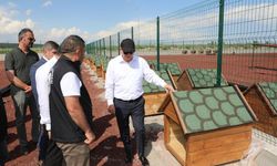 Kars’ta sokak hayvanları için doğal yaşam alanı kuruluyor