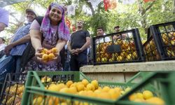 Kayısı Festivali'nde büyük coşku
