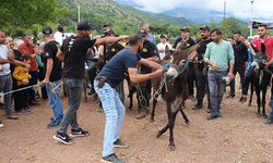 Kumluca Karacaören Şenliği:  Motokros heyecanı ve eşek yarışları renk kattı