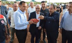 Mardin Ömerli'de doğa ve kültür buluştu