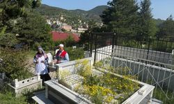 Ordu Büyükşehir kabir ziyareti öncesi vatandaşlara çiçek fidesi dağıttı