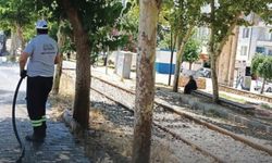 Parklar köşe bucak temizleniyor