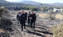 AFAD Başkanı Pehlivan, Çeşme'de yangın bölgesinde