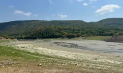 Düzce Hasanlar Barajı’nda su seviyesi kritik!
