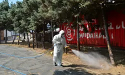 Kene ve haşerelerle mücadele için ilaçlama çalışmaları başladı 