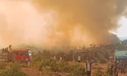 Orman yangınlarında 168 şüpheliden 39'u tutuklandı