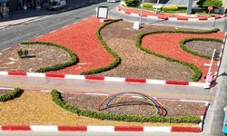 Antalya’da kurakçıl peyzajla hem tasarruf hem estetik sağlanıyor