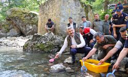 Artvin'de Hatila Vadisi Milli Parkı'ndaki dereye 5 bin alabalık yavrusu bırakıldı
