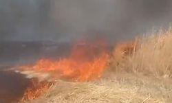 Beypazarı’nda anız ve sap yangını