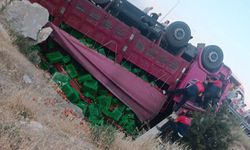 Domates yüklü kamyon dereye uçtu, sürücü ağır yaralı