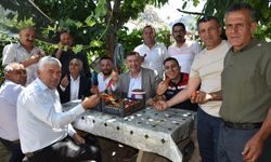 Eğirdir‘de topraksız toprakla çilek hasadı başladı