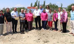 Isparta'da 78 mlyonluk tarımsal hibe desteği