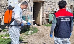 Kars'ta İlçe Tarım ve Orman Müdürlüğü ekipleri sahada: Yayıklı Köyü'nde dezenfeksiyon ve kontrol çalışması
