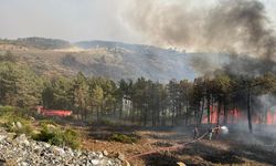 Kocaeli Büyükşehir Belediyesi'nden Bursa’daki yangına tam destek