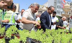 Mardin Midyat’ta fesleğen ve reyhan dağıtıldı