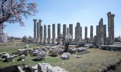 Uzuncaburç Antik Kenti'nde 1600 Yıllık Terazi takımı ve ağırlıklar gün yüzüne çıkarıldı