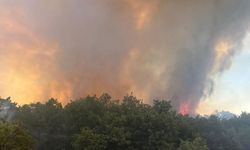 Balıkesir Kepsut’ta orman yangını: Müdahale sürüyor