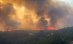 Bursa’nın Yenişehir ilçesinde orman yangını