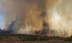 Çanakkale’de bu yaz orman yangınlarında 7 bin hektar alan zarar gördü