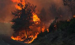 Çanakkale'de yangın büyüyor: Ev ve araçlar zarar gördü