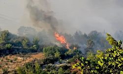 Dalaman’da otomobilden çıkan yangın ormana sıçradı: 3 dekar zarar gördü