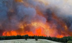 Gelibolu ve Eceabat’ta yangın alarmı: Tahliye sayısı artıyor