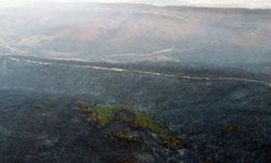 Gelibolu’daki orman yangını kontrol altında