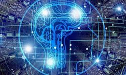 Türkiye’de internet kullanımı yüzde 90,9’a ulaştı