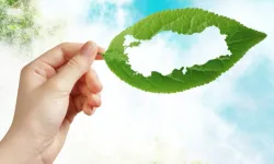 MEB'den 'yeşil vatan' seferberliği