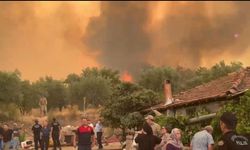 Denizli orman yangını kontrol altına alınmaya çalışılıyor