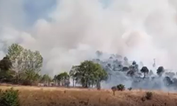 Sivas’ın Zara ilçesinde ağaçlık alanda yangın çıktı