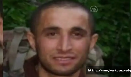 PKK'nın Zerdeşt Karadeniz kod adlı özel güç cephe sorumlusu etkisiz hale getirildi.