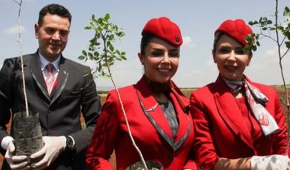 THY ile ÇEKUD işbirliğinde Kilis'e 14 bin Antep fıstığı fidanı dikildi