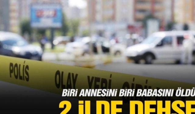 Sakarya ve Bursa'da evlat dehşeti! Biri annesini boğdu, biri babasını öldürdü