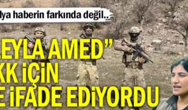 Öldürülen terörist “Leyla Amed” PKK için ne ifade ediyor