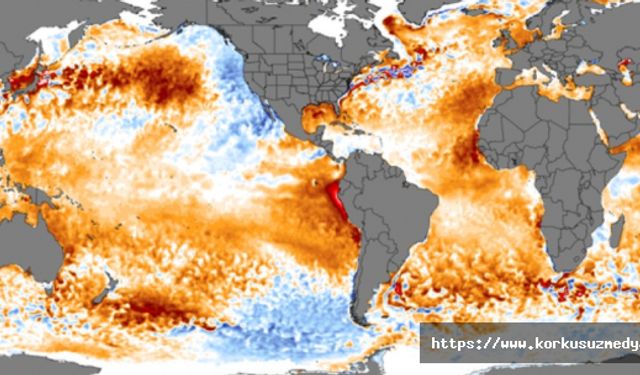 Dünyanın okyanusları artık çok, çok, çok hızlı ısınıyor