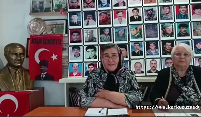 Şehit Anaları Derneği Başkanı Pakize Alp Akbaba'dan Sinan Oğan'a tepki: "Onu sildik. Alın annenizi, sandığa gelin"