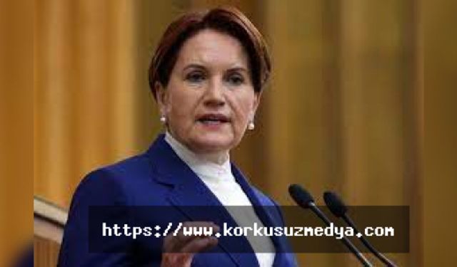 İYİ Parti'de muhalifler harekete geçti! Meral Akşener'e karşı kadın aday!... İşte o isim