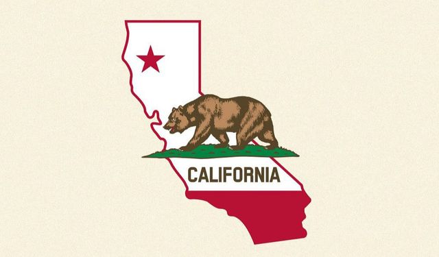 California da uygulamaya geçirilen yasa tasarısı "Pes dedirtti!"