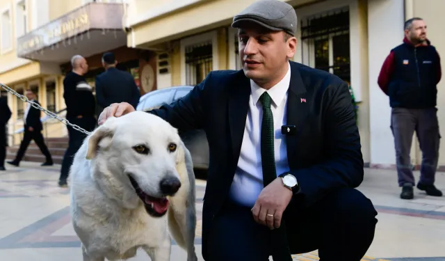 Bornova'da Hayvan Hakları savunucularına güçlü destek
