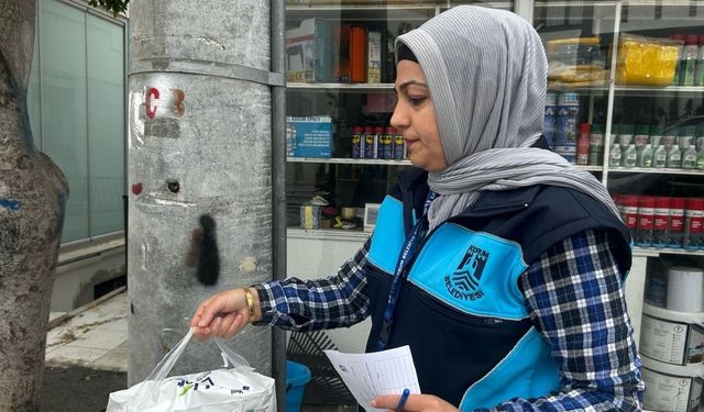 Bodrum Belediyesi, yüzleri güldürmeye devam ediyor
