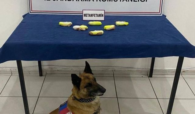 Kars'ta arama köpeği “Tabya” zehir tacirlerine geçit vermiyor!