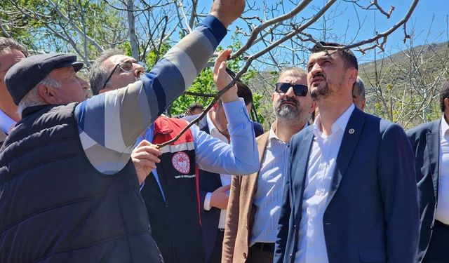 Bakan Yardımcısı Gümen, Burdur'da zirai dondan etkilenen üreticilerle bir araya geldi