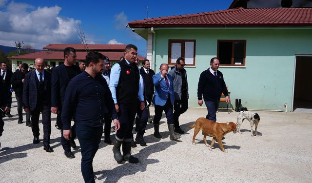 Bakan Yardımcısı Karaloğlu, Düzce’de “Hayvan Konukevi”ni inceledi