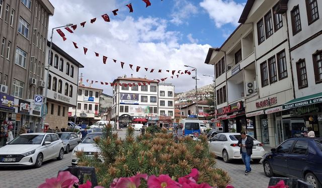 Başkent'in tarihi ilçesinde çiçek dikimi
