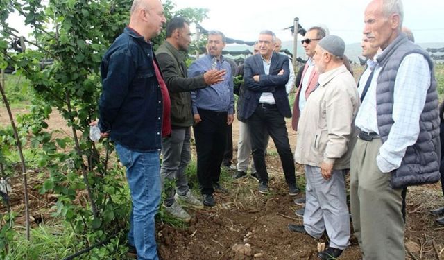 Batman’da böğürtlen yetiştiriciliğine ilgi artıyor