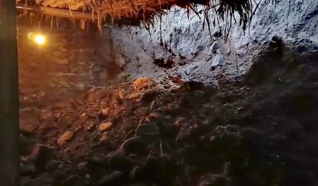 Doğubayazıt’ta ahır çöktü!